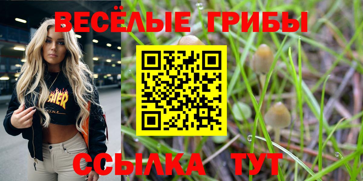 Нарткала  Галлюциногенные грибы Psilocybine cubensis  Вход с VPN 