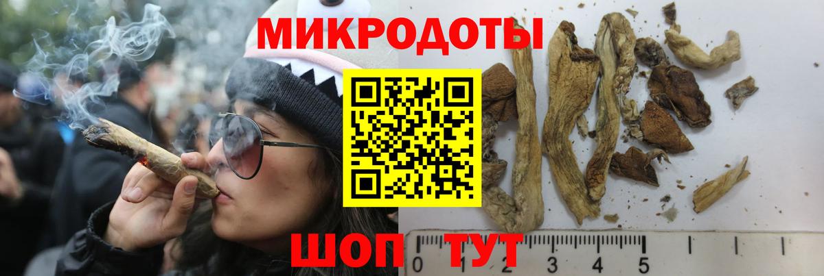 Галлюциногенные грибы GOLDEN TEACHER Нарткала